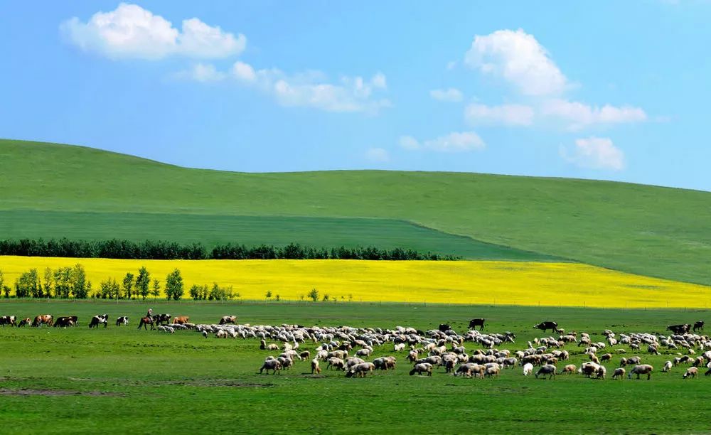 内蒙古，自然奇观与文化精髓的交融之地