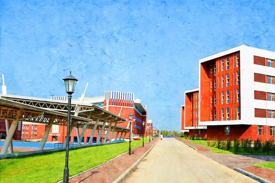 冰封雪覆的北国风情,黑龙江的冰情雪韵画卷